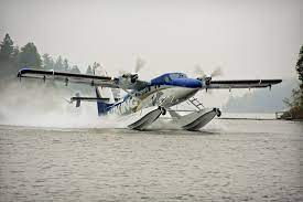 DHC-6 Amphibious 